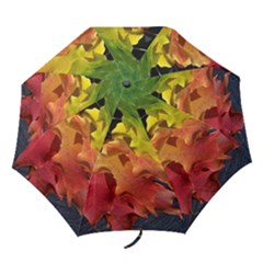 Green Yellow Red Maple Leaf Folding Umbrellas by BangZart