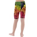 Green Yellow Red Maple Leaf Kids  Mid Length Swim Shorts View2