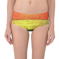 Five Wall Colour Mid-waist Bikini Bottoms