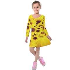 Beautiful Sunflowers Kids  Long Sleeve Velvet Dress