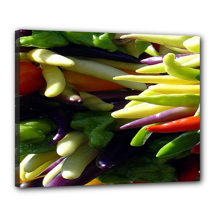 Bright Peppers Canvas 20  x 16 