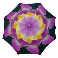 Pink Lotus Flower Straight Umbrellas by BangZart