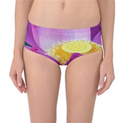 Pink Lotus Flower Mid-waist Bikini Bottoms