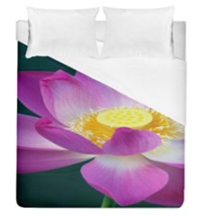 Pink Lotus Flower Duvet Cover (queen Size) by BangZart