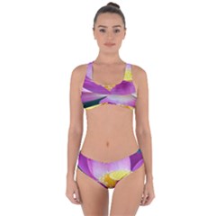Pink Lotus Flower Criss Cross Bikini Set by BangZart