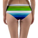 Colorful Plasticine Reversible Mid-Waist Bikini Bottoms View2