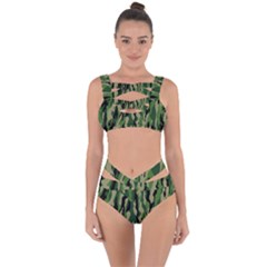 Green Military Vector Pattern Texture Bandaged Up Bikini Set 