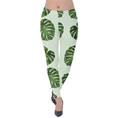 Leaf Pattern Seamless Background Velvet Leggings by BangZart