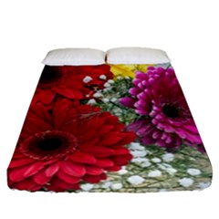 Flowers Gerbera Floral Spring Fitted Sheet (queen Size) by BangZart