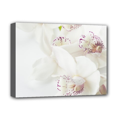 Orchids Flowers White Background Deluxe Canvas 16  X 12   by BangZart