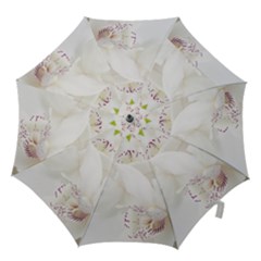 Orchids Flowers White Background Hook Handle Umbrellas (medium)