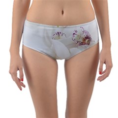 Orchids Flowers White Background Reversible Mid-waist Bikini Bottoms by BangZart