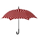 Sun Background Optics Channel Red Hook Handle Umbrellas (Large) View3