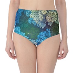 Fractal Formula Abstract Backdrop High-waist Bikini Bottoms by BangZart