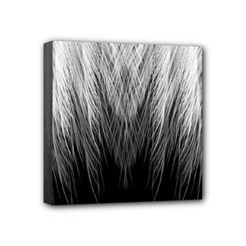 Feather Graphic Design Background Mini Canvas 4  X 4  by BangZart