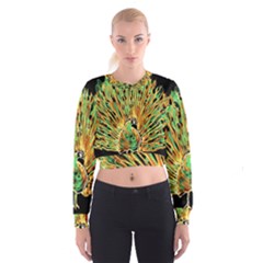 Unusual Peacock Drawn With Flame Lines Cropped Sweatshirt