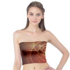 The Rusty Red Fractal Scarab Of Fiery Old Man Ra Tube Top by jayaprime