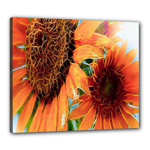 Sunflower Art  Artistic Effect Background Canvas 24  X 20 