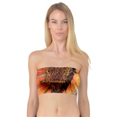 Sunflower Art  Artistic Effect Background Bandeau Top