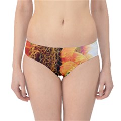 Sunflower Art  Artistic Effect Background Hipster Bikini Bottoms