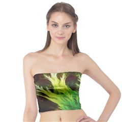 A Seaweed s Deepdream Of Faded Fractal Fall Colors Tube Top by jayaprime