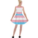 TRANS PRIDE Velvet Skater Dress View2