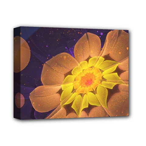 Beautiful Violet & Peach Primrose Fractal Flowers Deluxe Canvas 14  X 11  by jayaprime