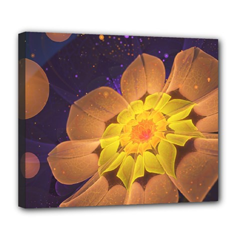 Beautiful Violet & Peach Primrose Fractal Flowers Deluxe Canvas 24  X 20   by jayaprime