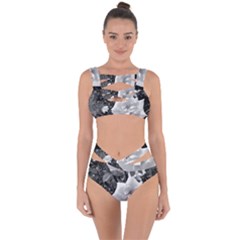 White Rose Black Back Ground Greenery ! Bandaged Up Bikini Set 