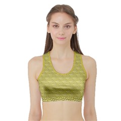 Golden Scales Sports Bra With Border by Brini