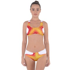 Starfish Criss Cross Bikini Set by BangZart