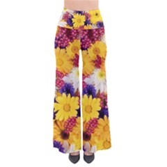 Colorful Flowers Pattern Pants by BangZart