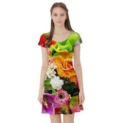 Colorful Flowers Short Sleeve Skater Dress