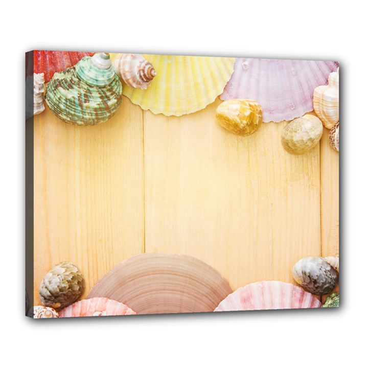 Sea Shell Pattern Canvas 20  x 16 