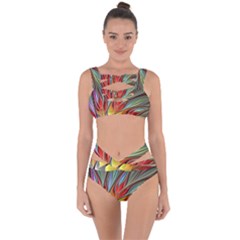 Fractal Bird Of Paradise Bandaged Up Bikini Set 