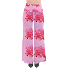 Pink Floral Pattern Pants