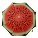 Piece Of Watermelon Hook Handle Umbrellas (Small) View1