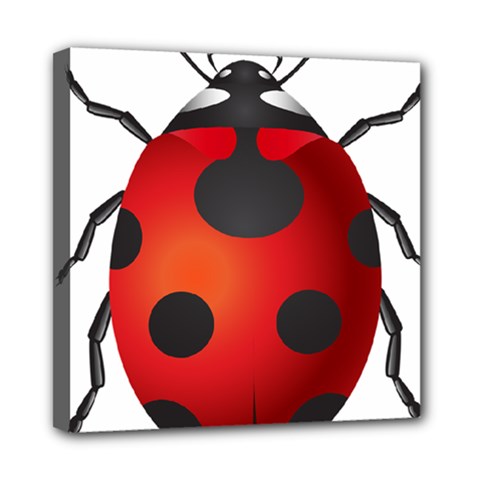 Ladybug Insects Mini Canvas 8  X 8  by BangZart