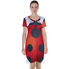 Ladybug Insects Short Sleeve Nightdress