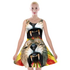 Reggae Lion Velvet Skater Dress by BangZart