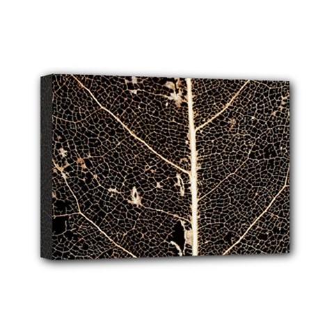 Vein Skeleton Of Leaf Mini Canvas 7  X 5  by BangZart