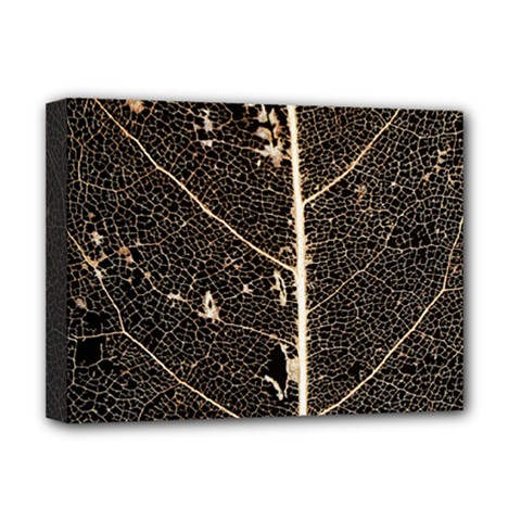 Vein Skeleton Of Leaf Deluxe Canvas 16  X 12   by BangZart