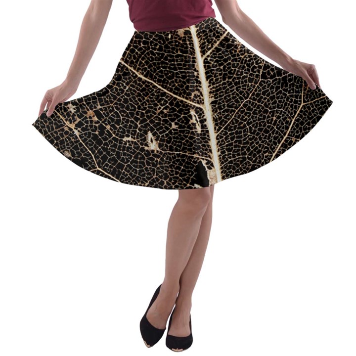 Vein Skeleton Of Leaf A-line Skater Skirt