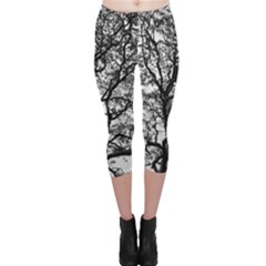 Tree Fractal Capri Leggings 