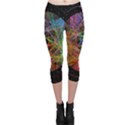 The Art Links Pi Capri Leggings  View1