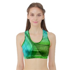 Sunlight Filtering Through Transparent Leaves Green Blue Sports Bra With Border by BangZart