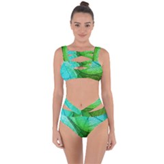 Sunlight Filtering Through Transparent Leaves Green Blue Bandaged Up Bikini Set 