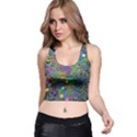 Starbursts Biploar Spring Colors Nature Racer Back Crop Top View1