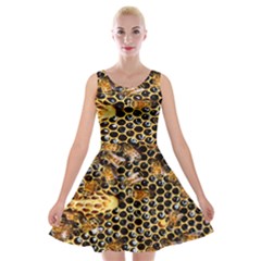 Queen Cup Honeycomb Honey Bee Velvet Skater Dress