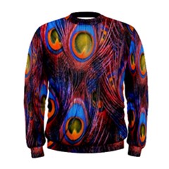 Pretty Peacock Feather Men s Sweatshirt